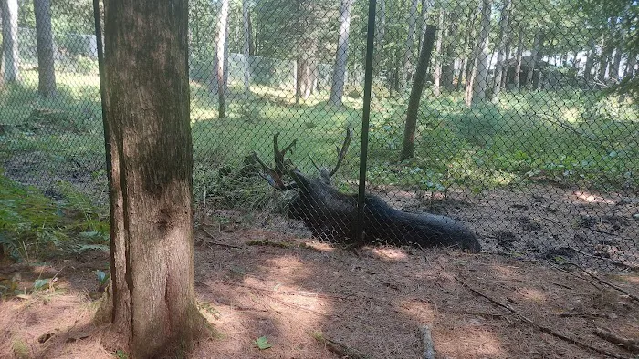 Gray Animal Center Picture 6
