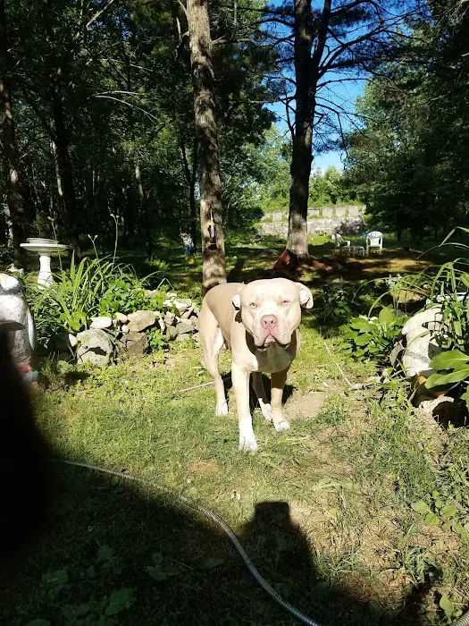 Gray Animal Center Picture 7