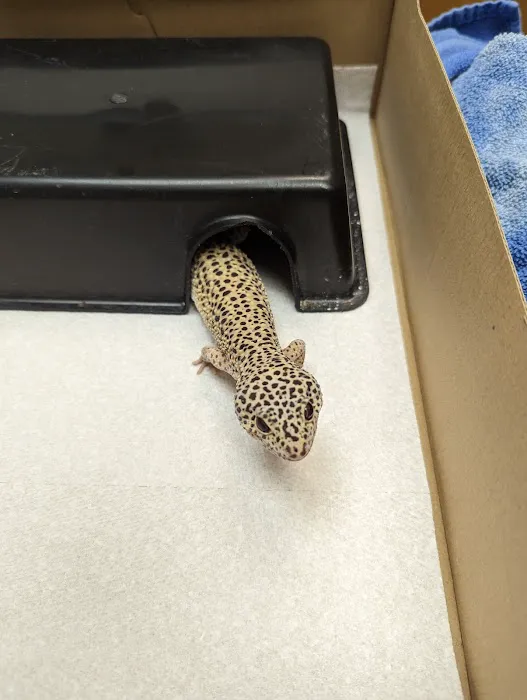 Animal Hospital of South Gorham Picture 5