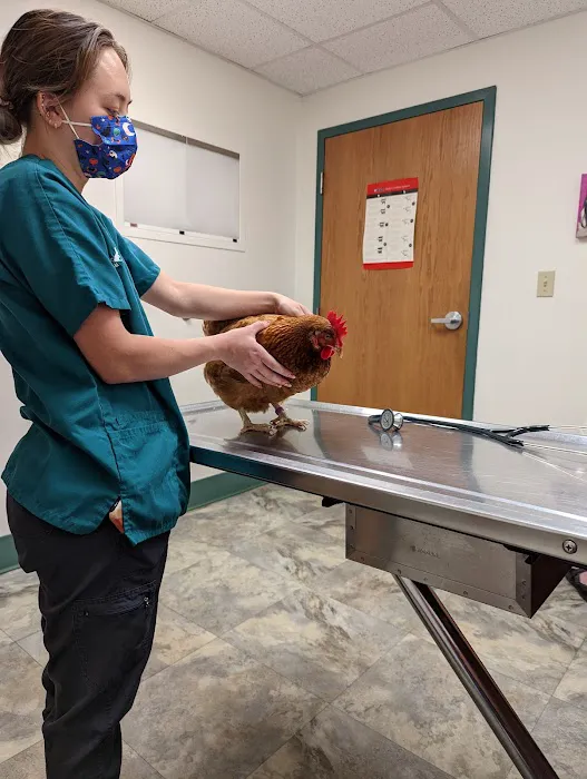Animal Hospital of South Gorham Picture 8
