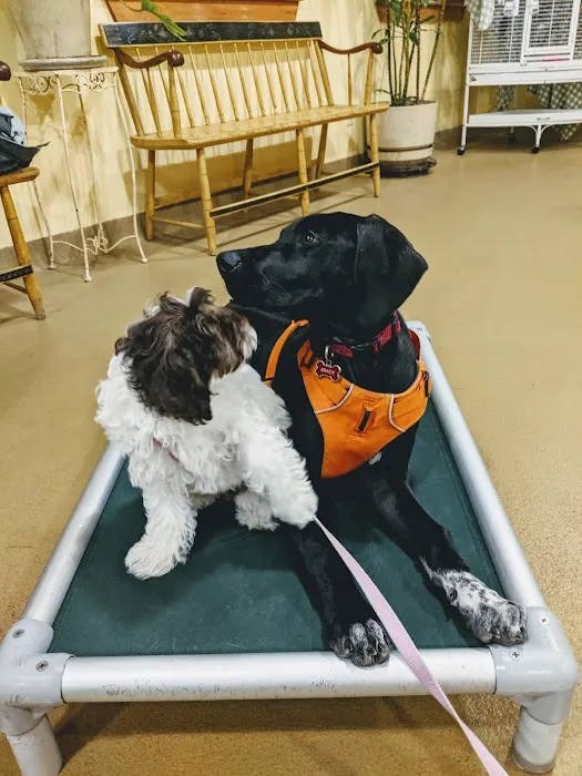 Tender Touch Veterinary Hospital Picture 6