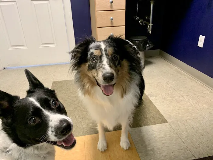 Pine Point Animal Hospital Picture 9