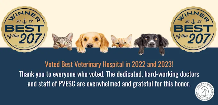 Portland Veterinary Emergency and Specialty Care Picture 2