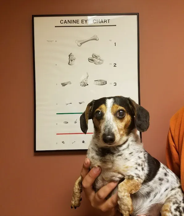 Portland Veterinary Emergency and Specialty Care Picture 10
