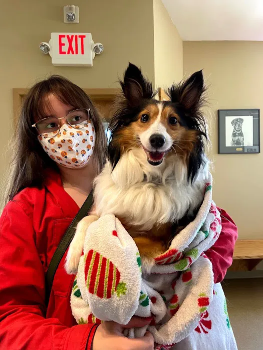 Westside Animal Hospital Picture 6