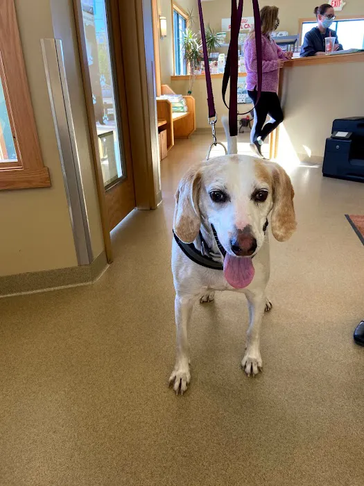 Westside Animal Hospital Picture 5