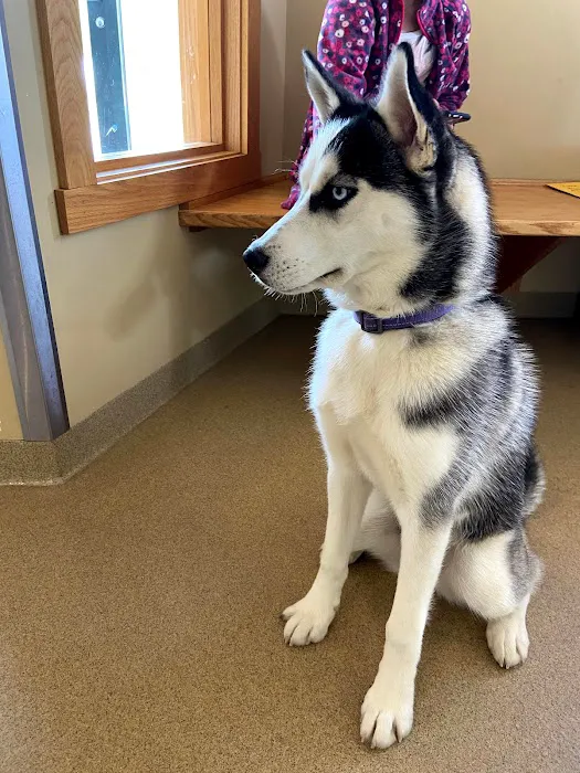 Westside Animal Hospital Picture 10