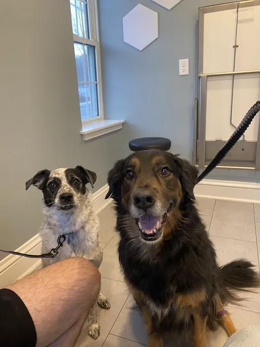 North Yarmouth Veterinary Hospital Picture 3