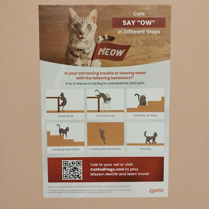 Cumberland Animal Clinic Picture 1