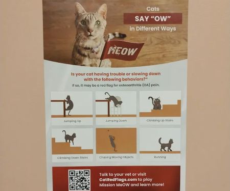 Cumberland Animal Clinic