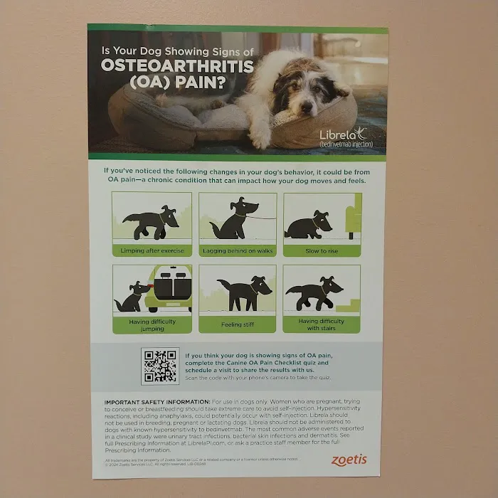 Cumberland Animal Clinic Picture 5