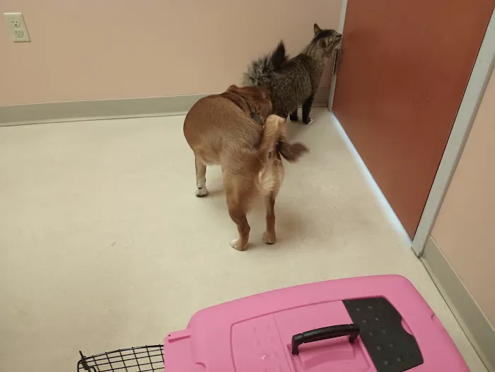 Cumberland Animal Clinic Picture 9
