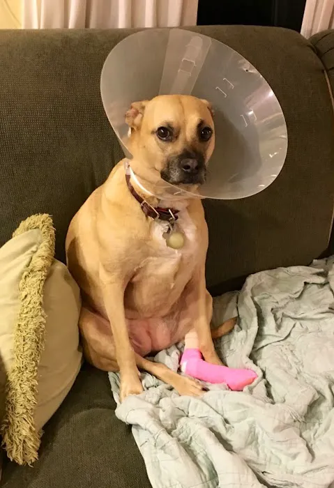 Stoneledge Animal Hospital Picture 1