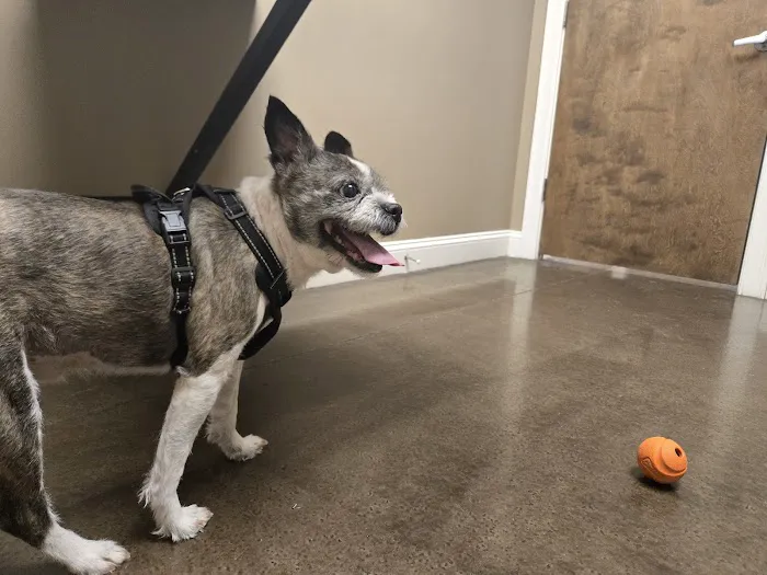 Stoneledge Animal Hospital Picture 8