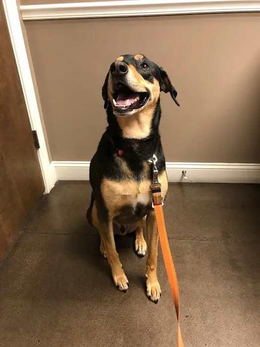 Stoneledge Animal Hospital Picture 10