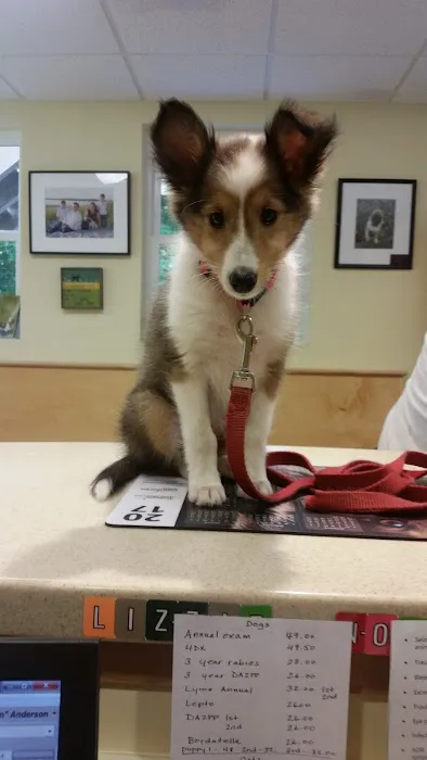 Pownal Veterinary Hospital Picture 3