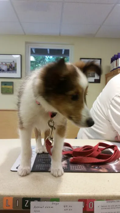 Pownal Veterinary Hospital Picture 7