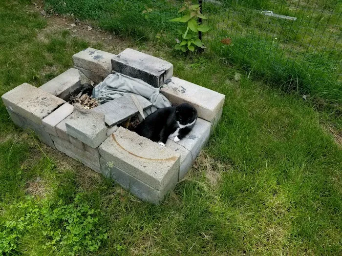 Westbrook Animal Hospital Picture 6