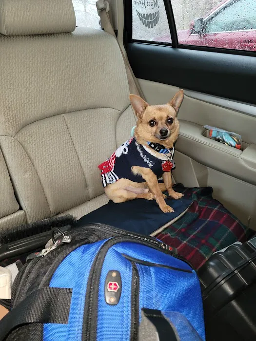 Westbrook Animal Hospital Picture 9