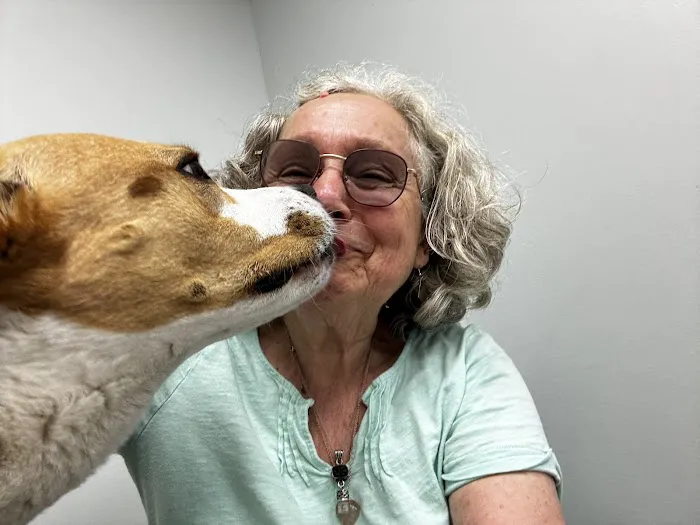North Deering Veterinary Hospital Picture 4