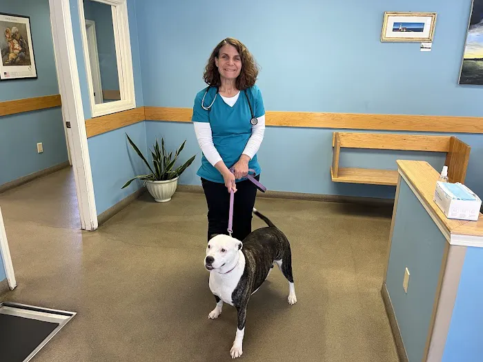 North Deering Veterinary Hospital Picture 7