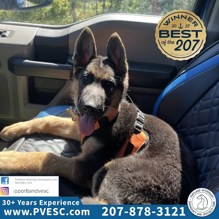 Portland Veterinary Emergency and Specialty Care Picture 5