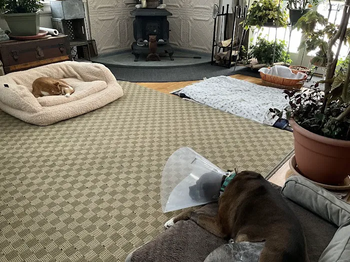 Portland Veterinary Emergency and Specialty Care Picture 7