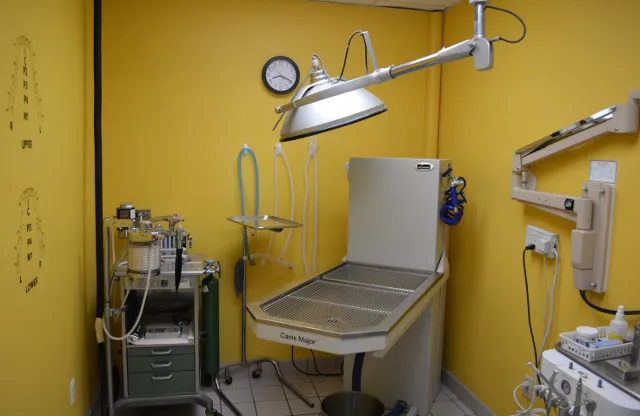 Biddeford Animal Hospital Picture 5