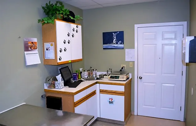 Biddeford Animal Hospital Picture 2