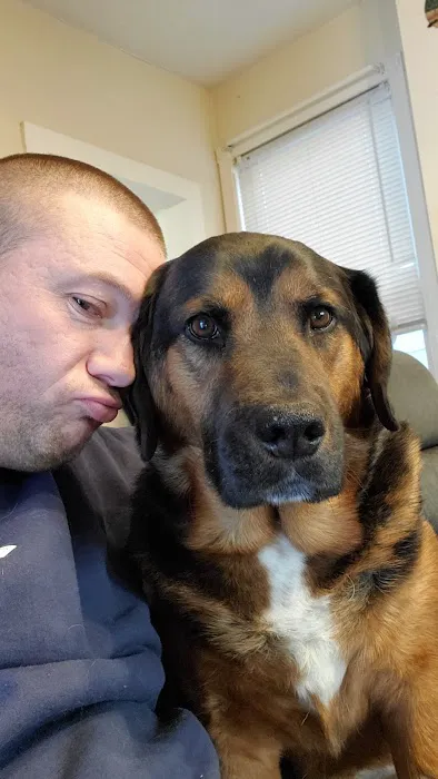 Biddeford Animal Hospital Picture 8
