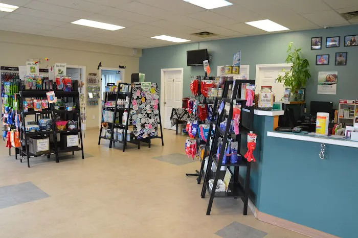 Biddeford Animal Hospital Picture 10