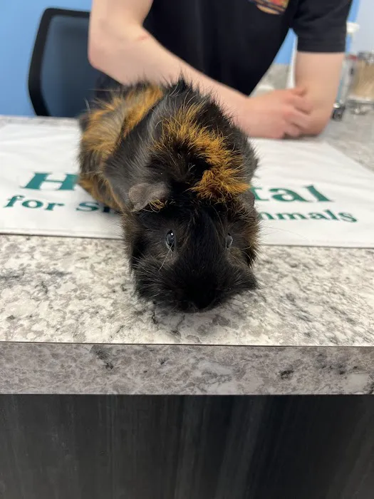 Southern Maine Hospital for Small Mammals Picture 6