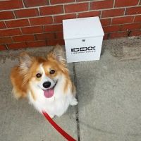 Casco Bay Veterinary Hospital ico