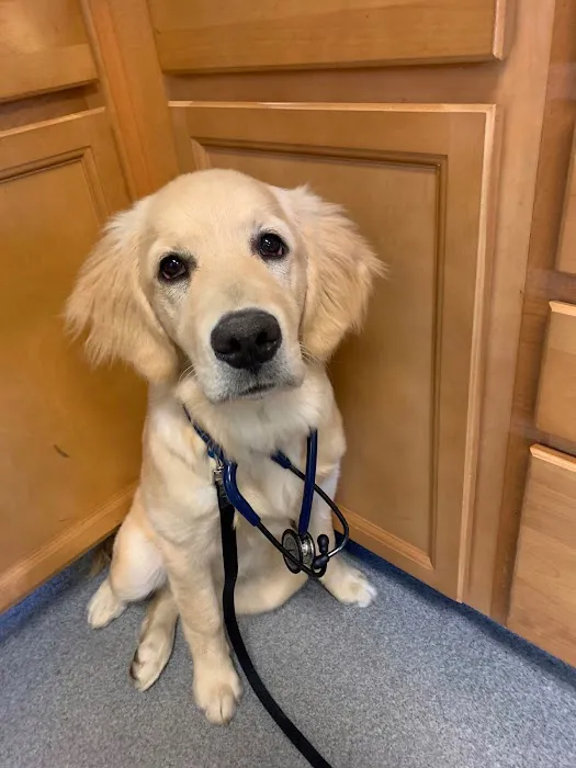 Casco Bay Veterinary Hospital Picture 3