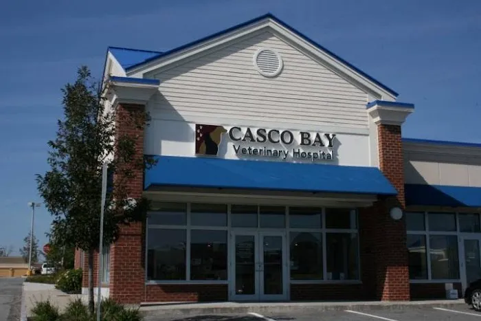 Casco Bay Veterinary Hospital Picture 10