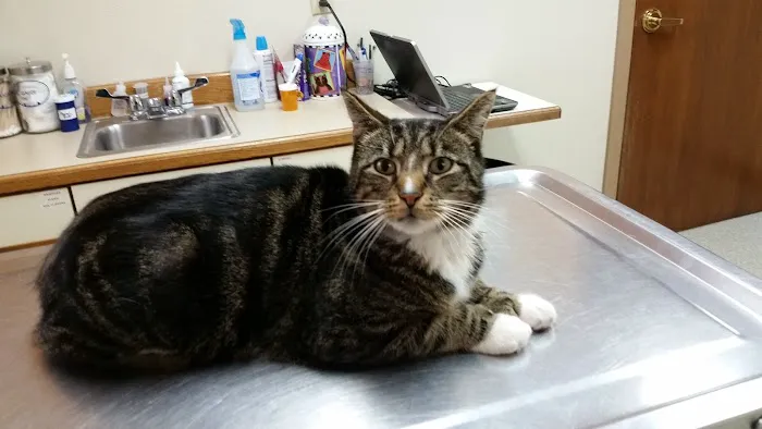 Turner Veterinary Service Picture 1