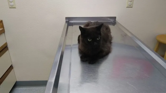 Turner Veterinary Service Picture 6