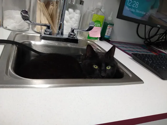 Bethel Animal Hospital Picture 1