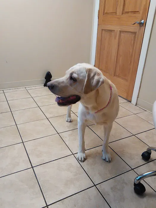 Auburn Animal Center Picture 10