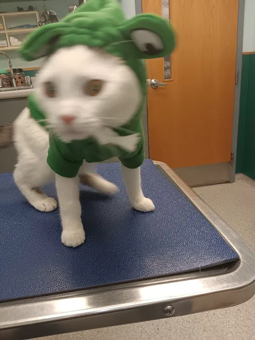 VCA Lewiston Animal Hospital Picture 3