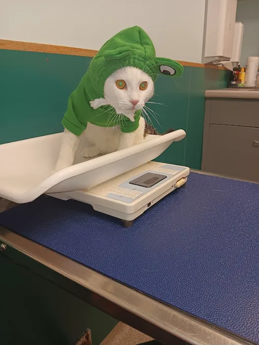 VCA Lewiston Animal Hospital Picture 2