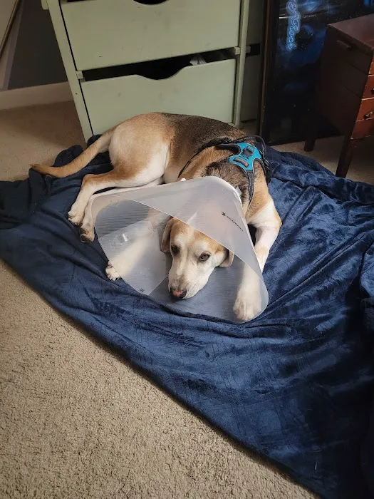 Lisbon Road Animal Hospital Picture 1