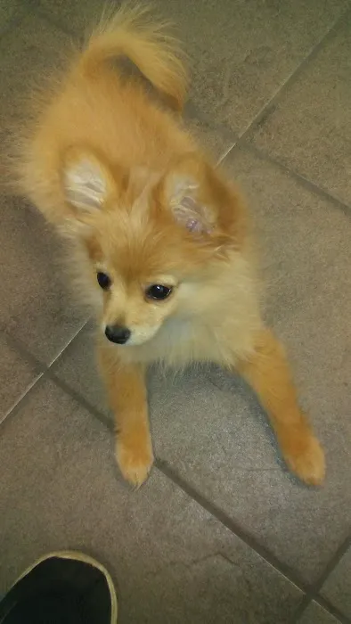 Lisbon Road Animal Hospital Picture 7