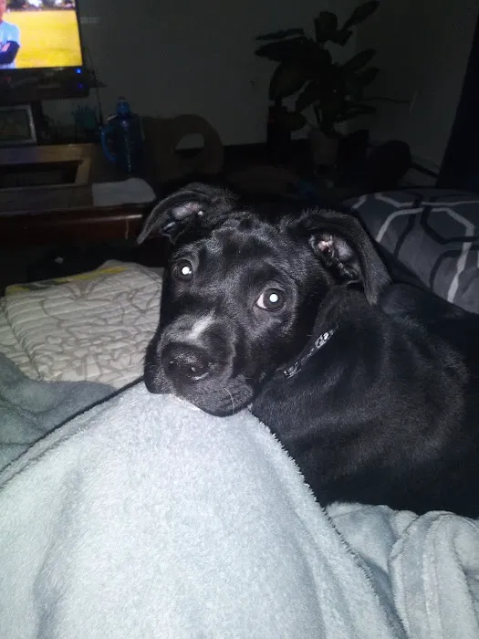 Rumford Animal Hospital Picture 1