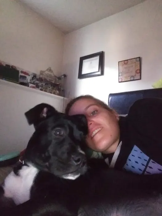 Rumford Animal Hospital Picture 2