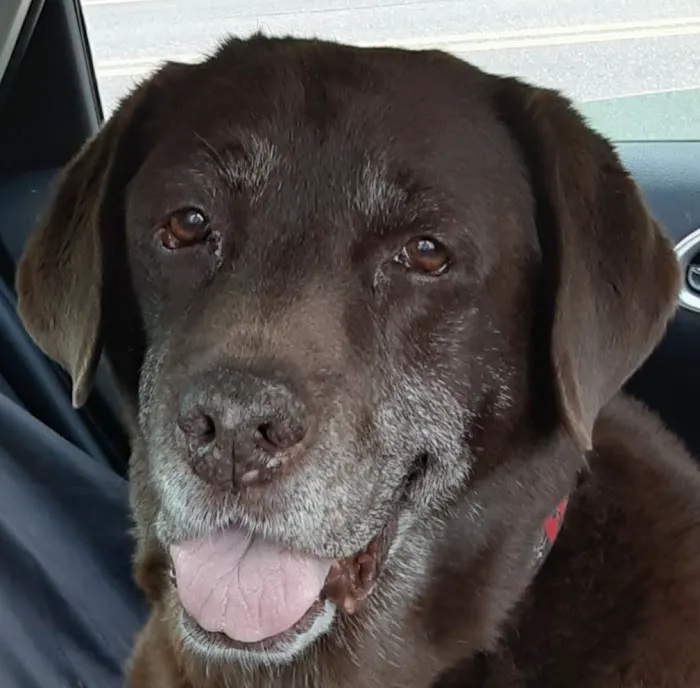 Rumford Animal Hospital Picture 3