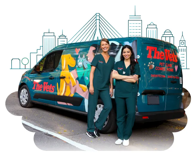 The Vets - Mobile Vet Care in Boston (Formerly BetterVet) Picture 3