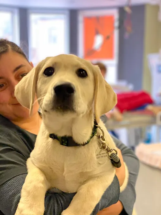 Back Bay Veterinary Clinic Picture 5
