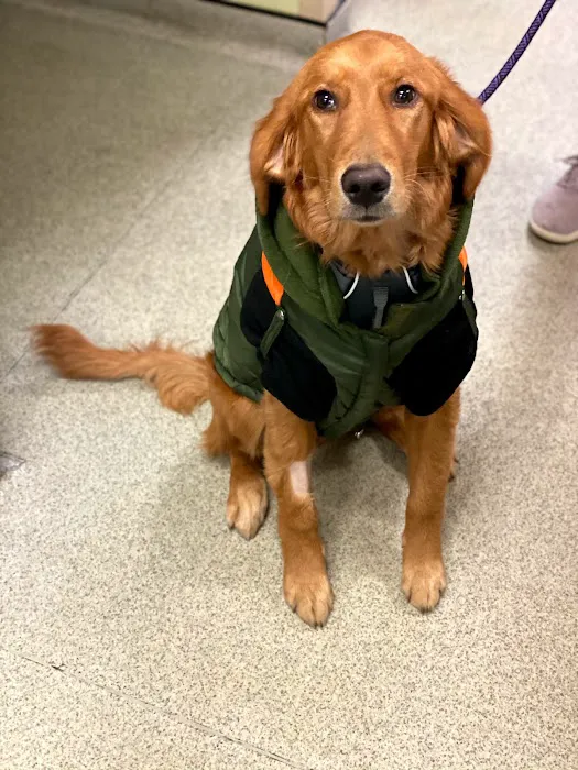 Back Bay Veterinary Clinic Picture 2