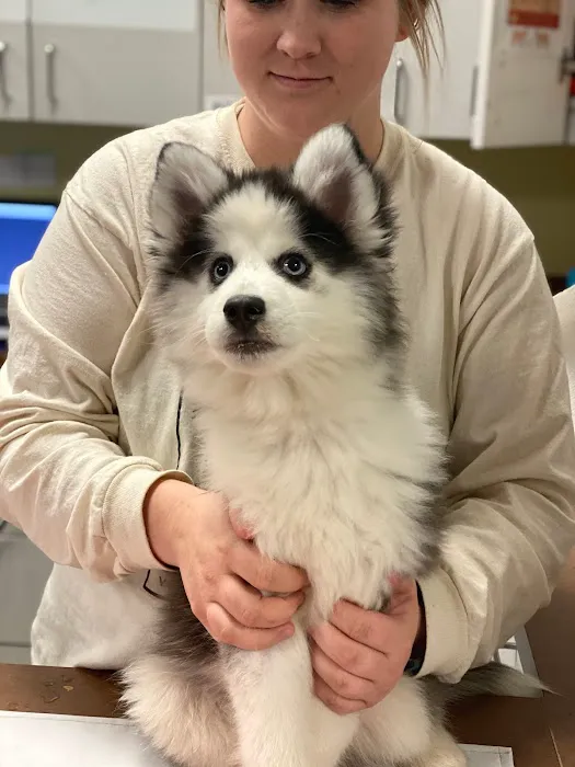 Back Bay Veterinary Clinic Picture 1
